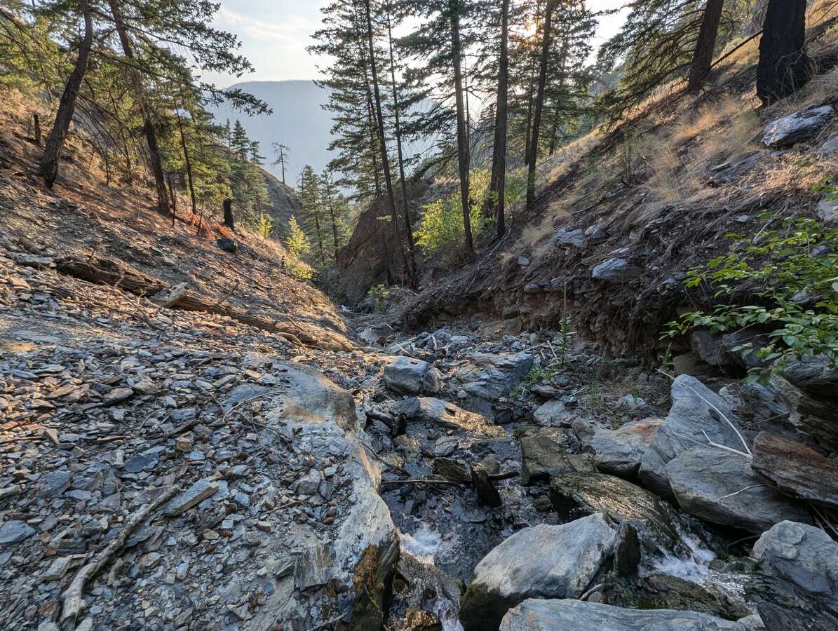 Butcher Creek flowing steadily through late summer.