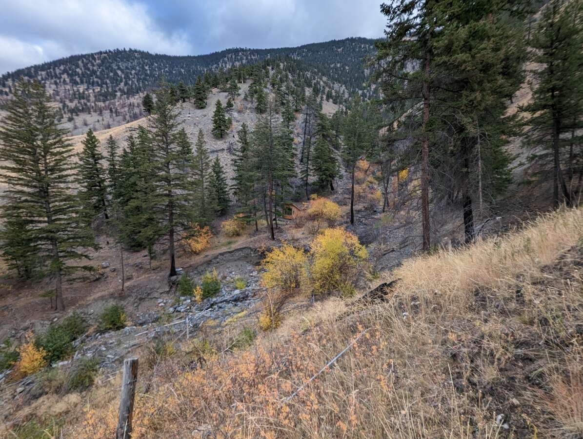 Butcher Creek running through property (fall).