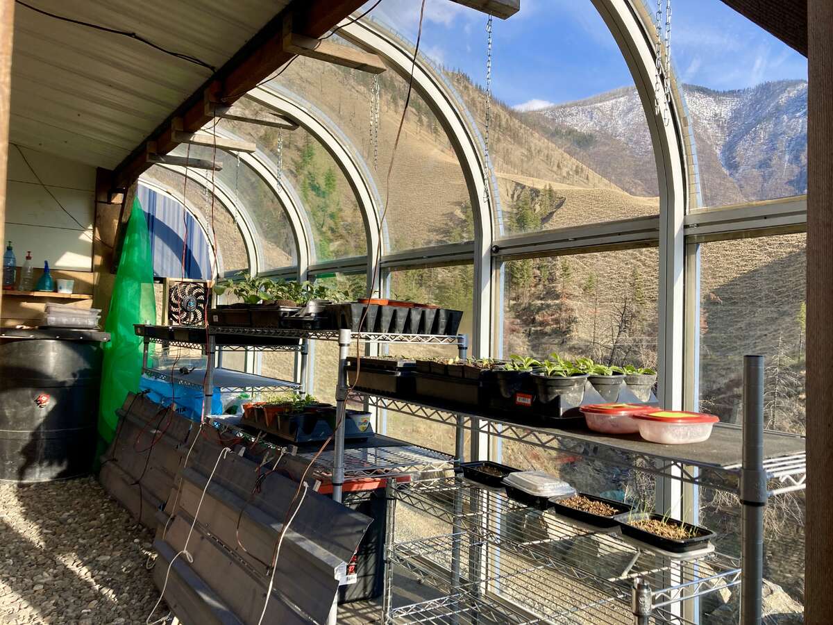 Late winter views from the greenhouse.