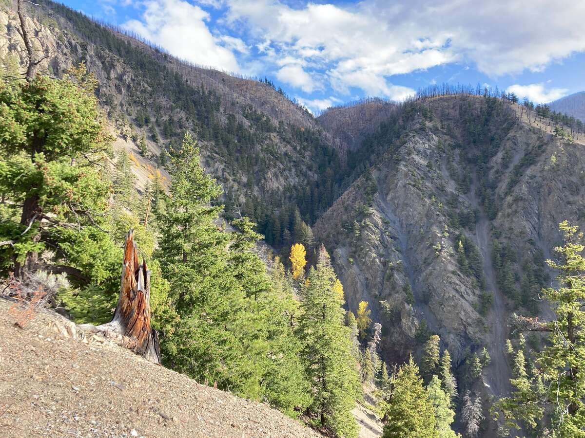 The upper reaches of Butcher Creek Canyon (early-fall)