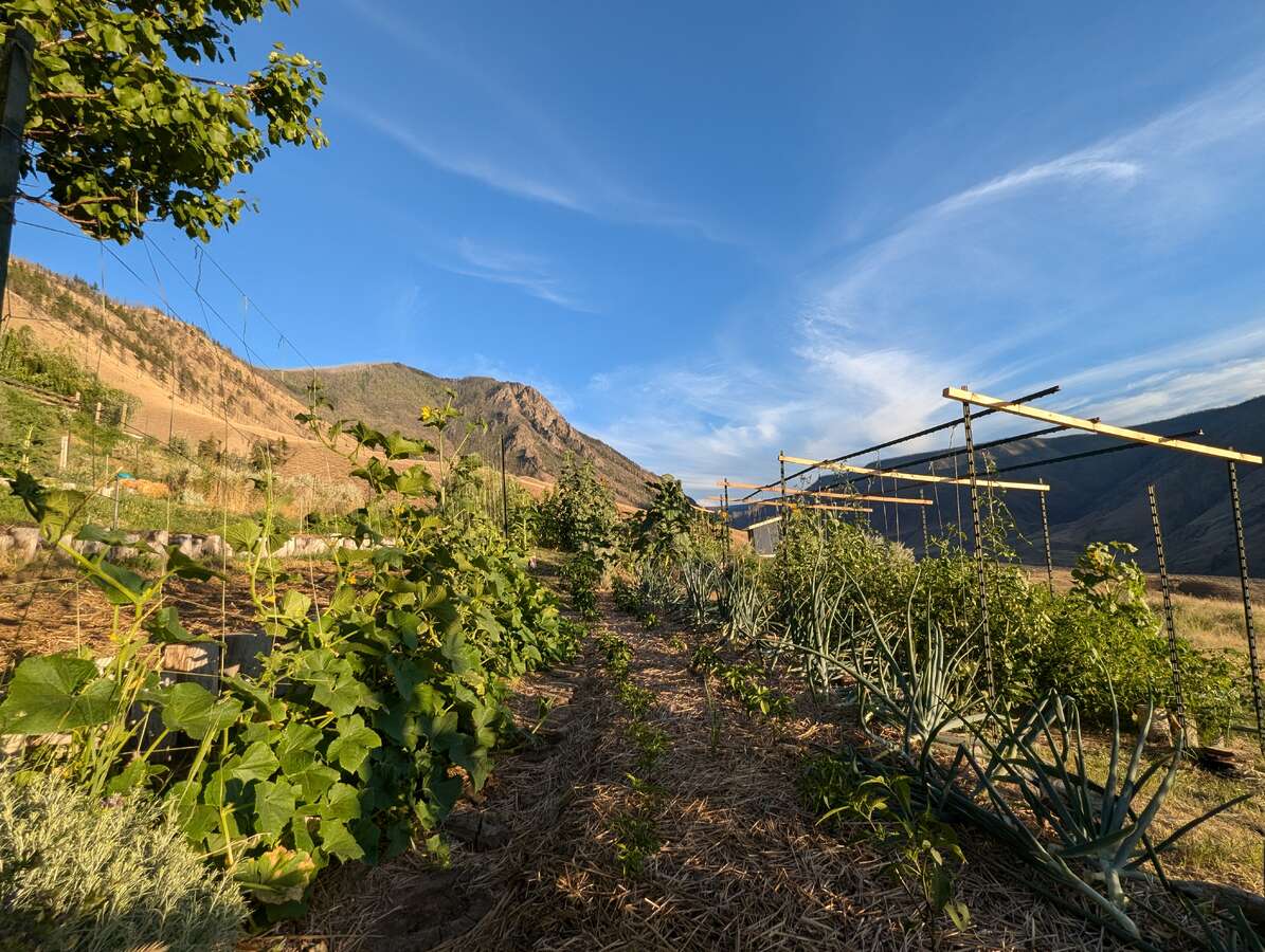 2/3 acre of terraced garden beds.