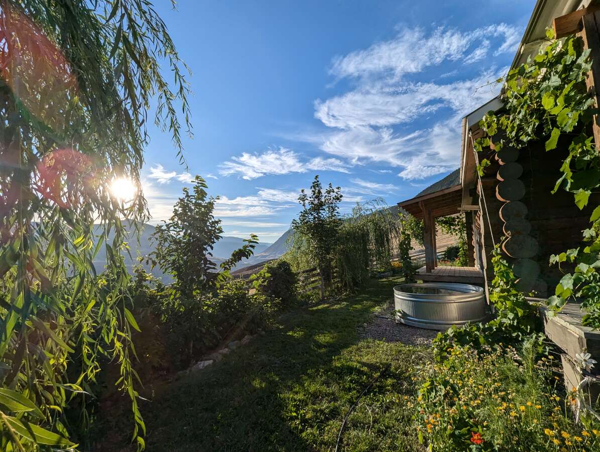 Looking Northwest from midpoint of the property (early spring).