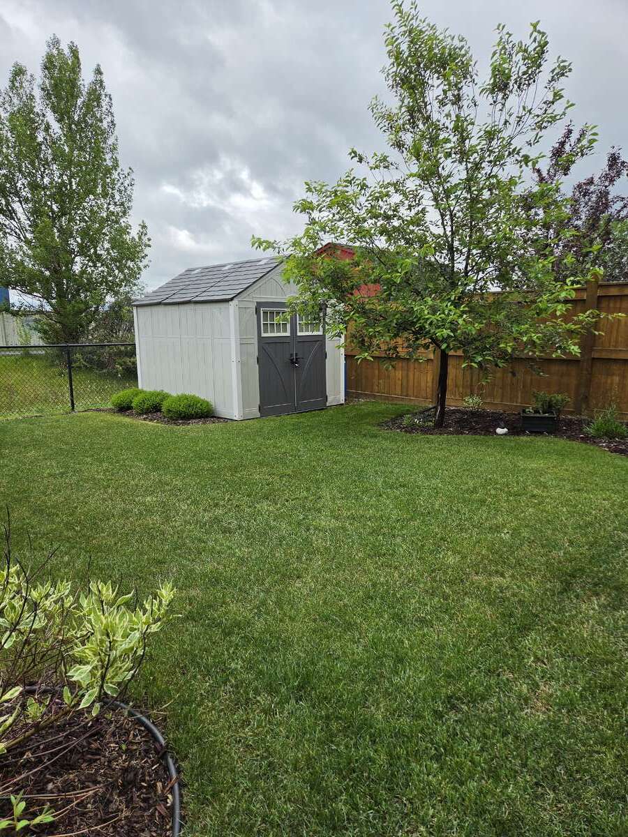 Backyard Shed