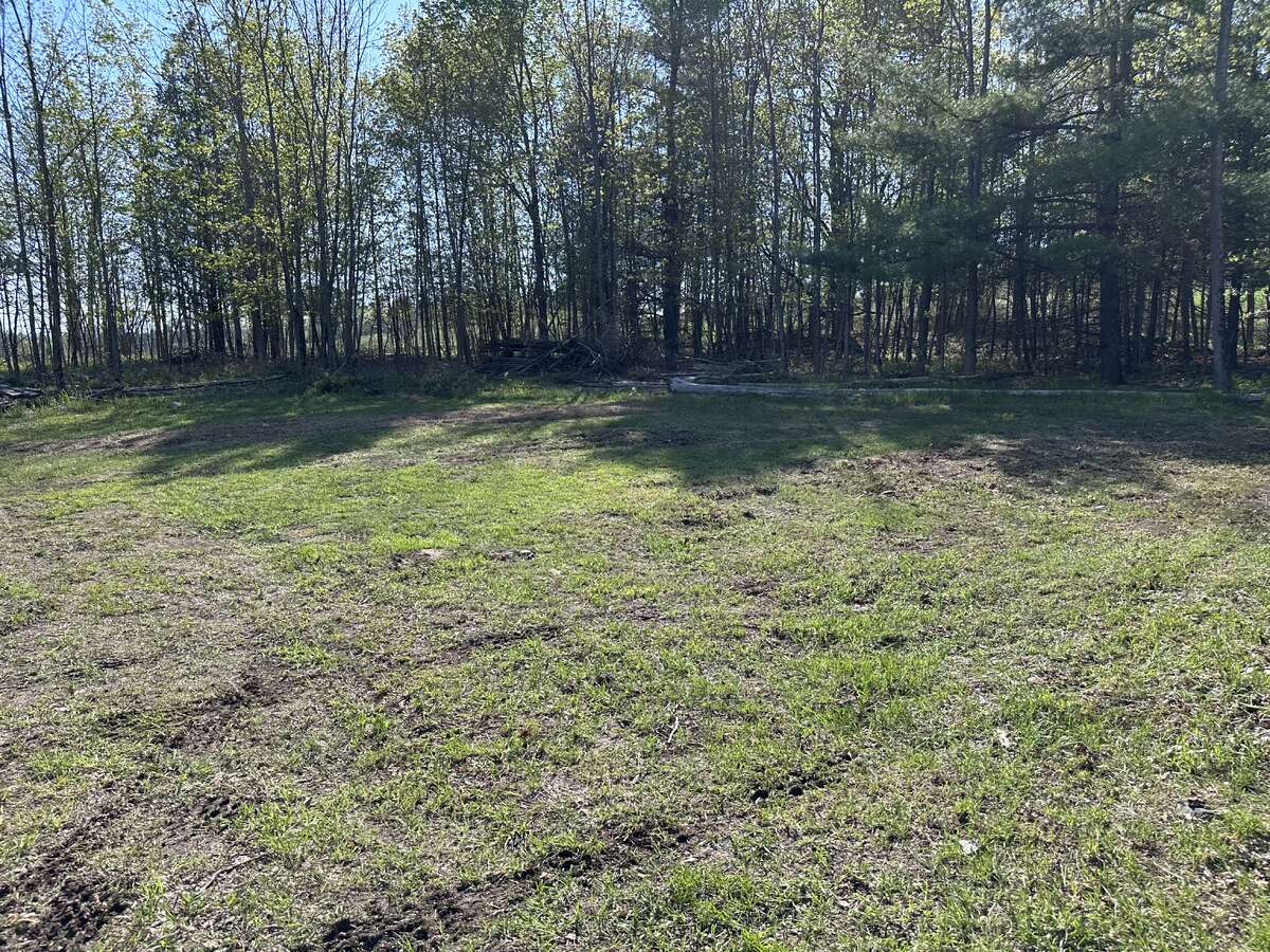 28 Acres with Maples, Creek and Building Potential