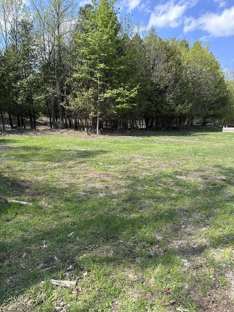 28 Acres with Maples, Creek and Building Potential
