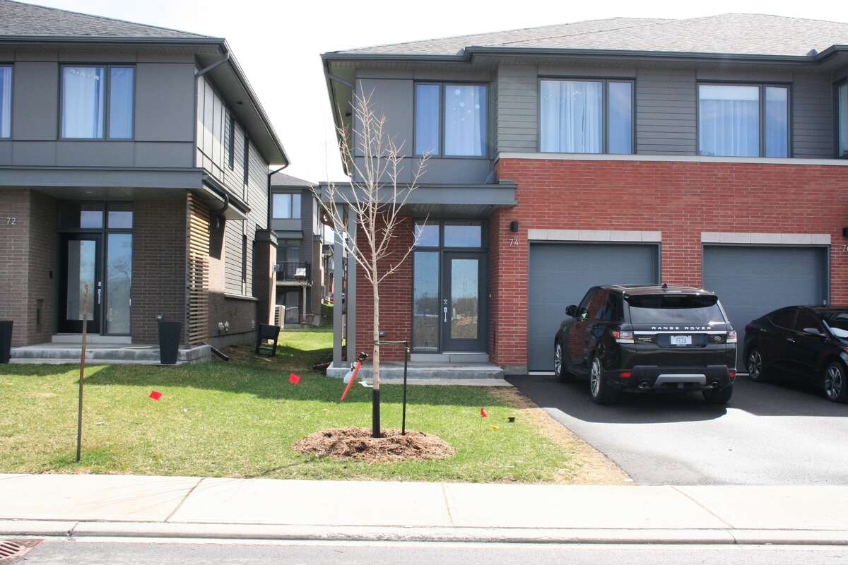 Driveway - 2 cars