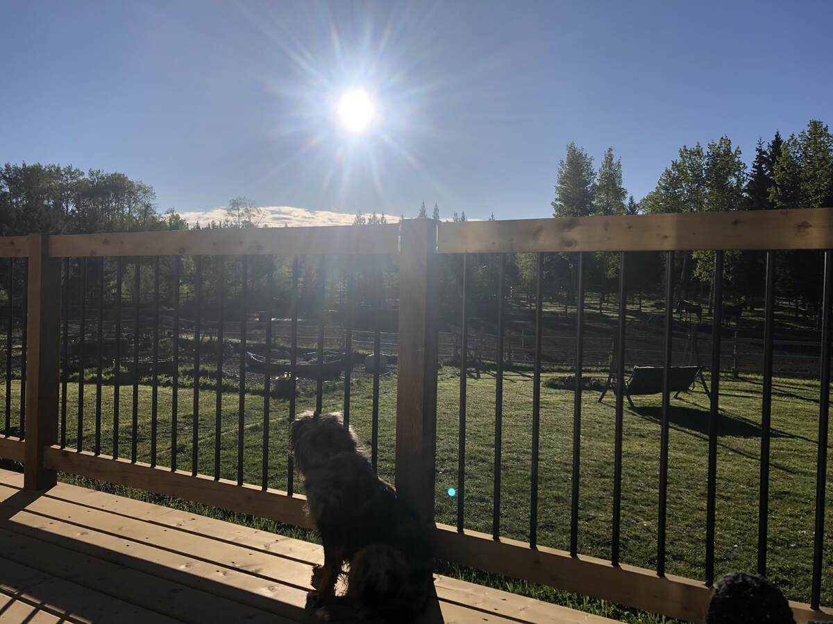 Deck overlooks veggie garden beds, fire pit and riding arena