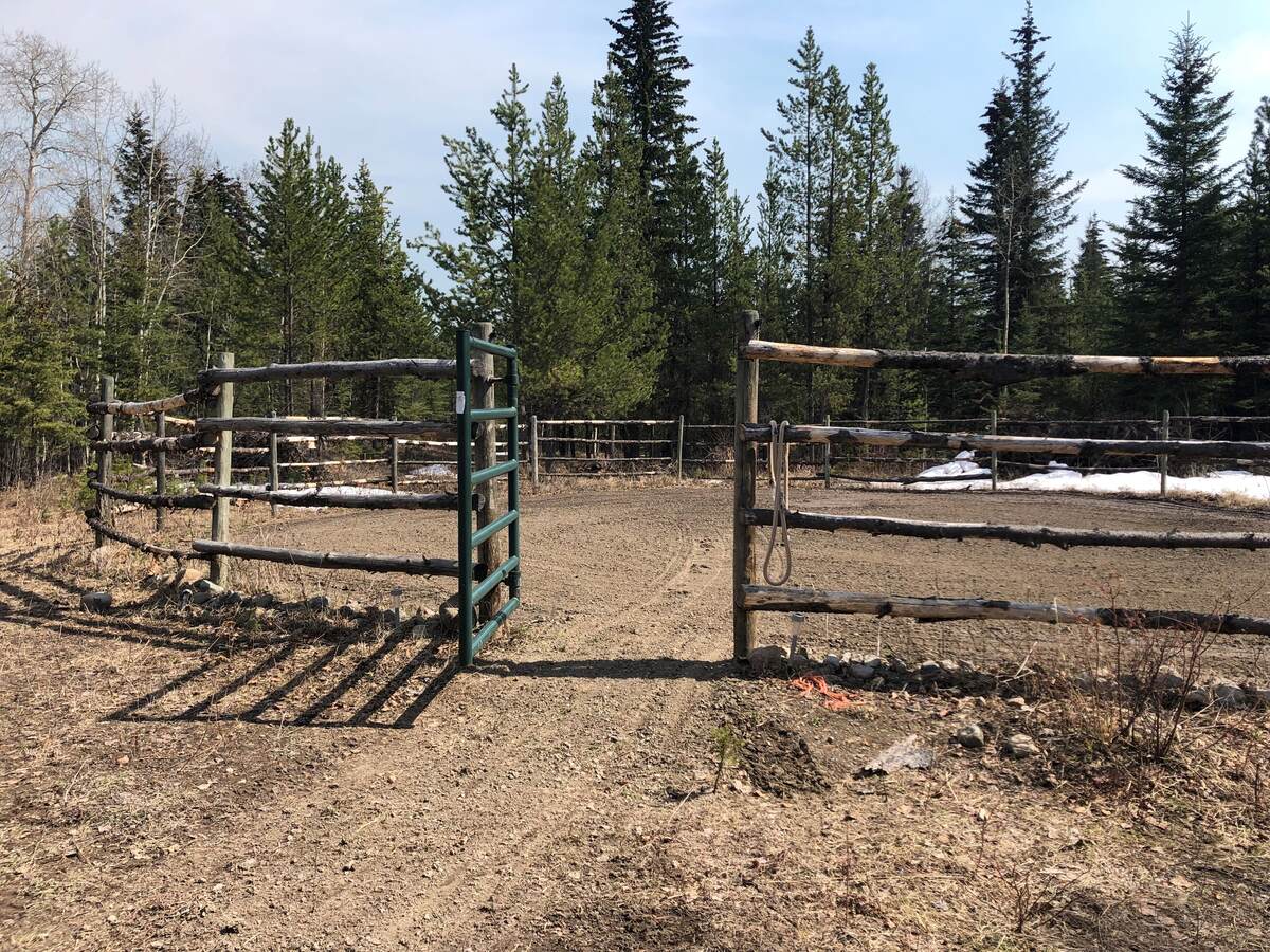 60 foot round pen