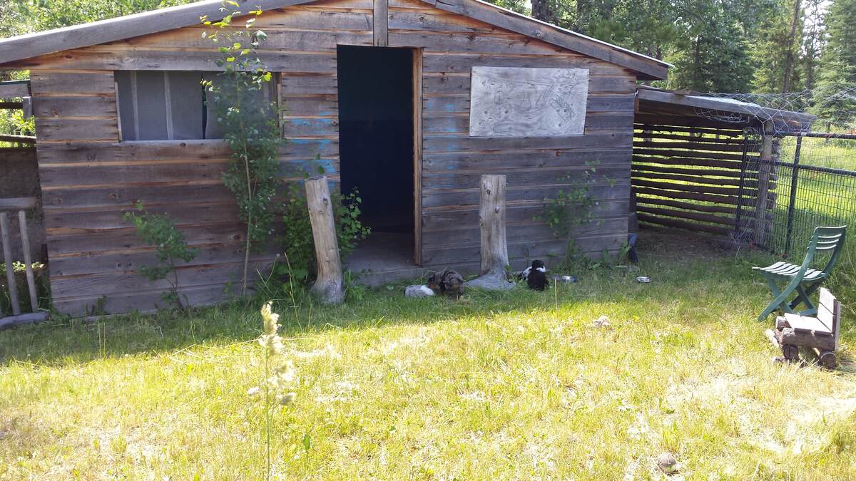 Doggie Condo (I raised puppies in here all fenced)