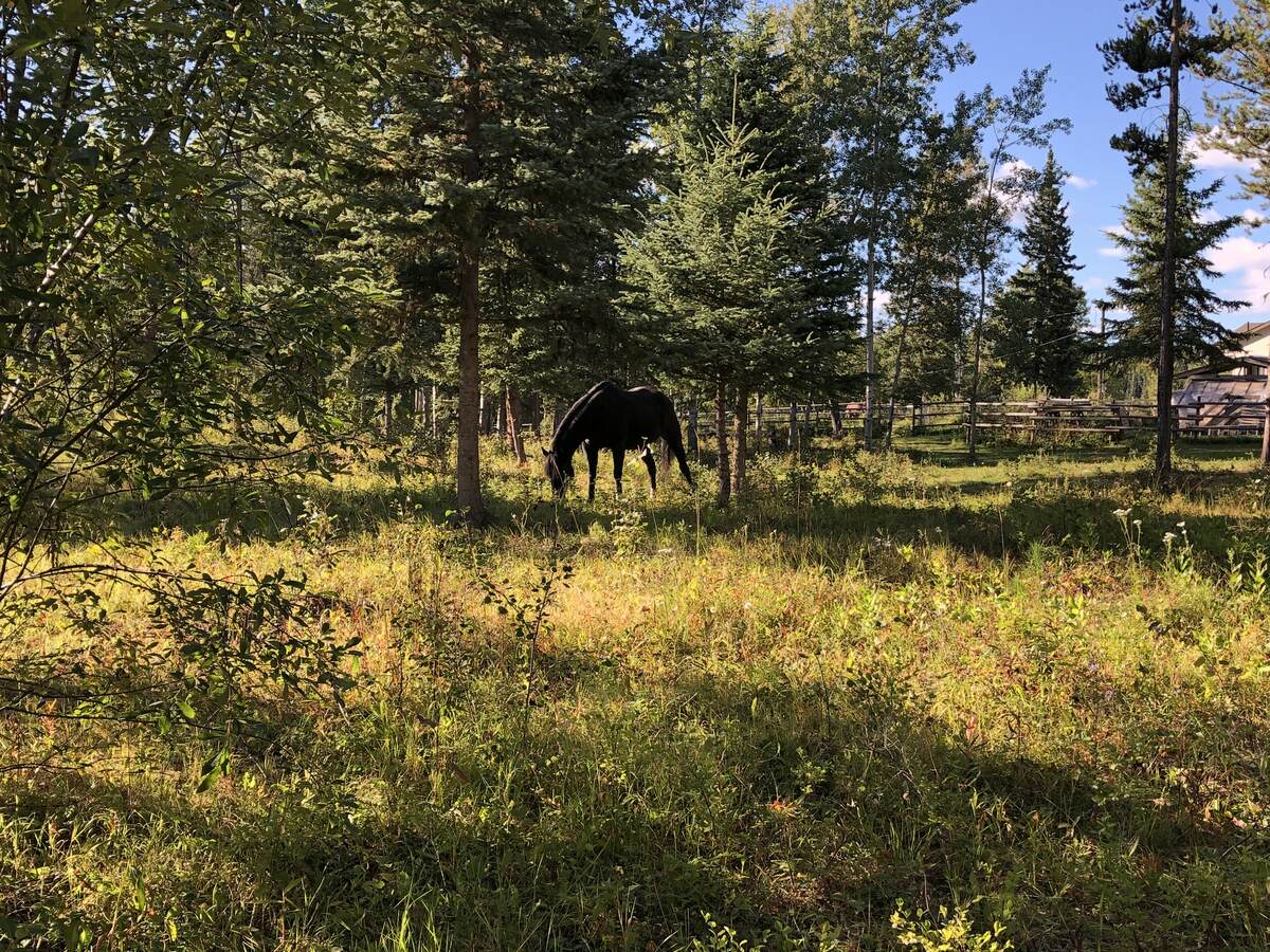 I can store 400 square bales covered on this property