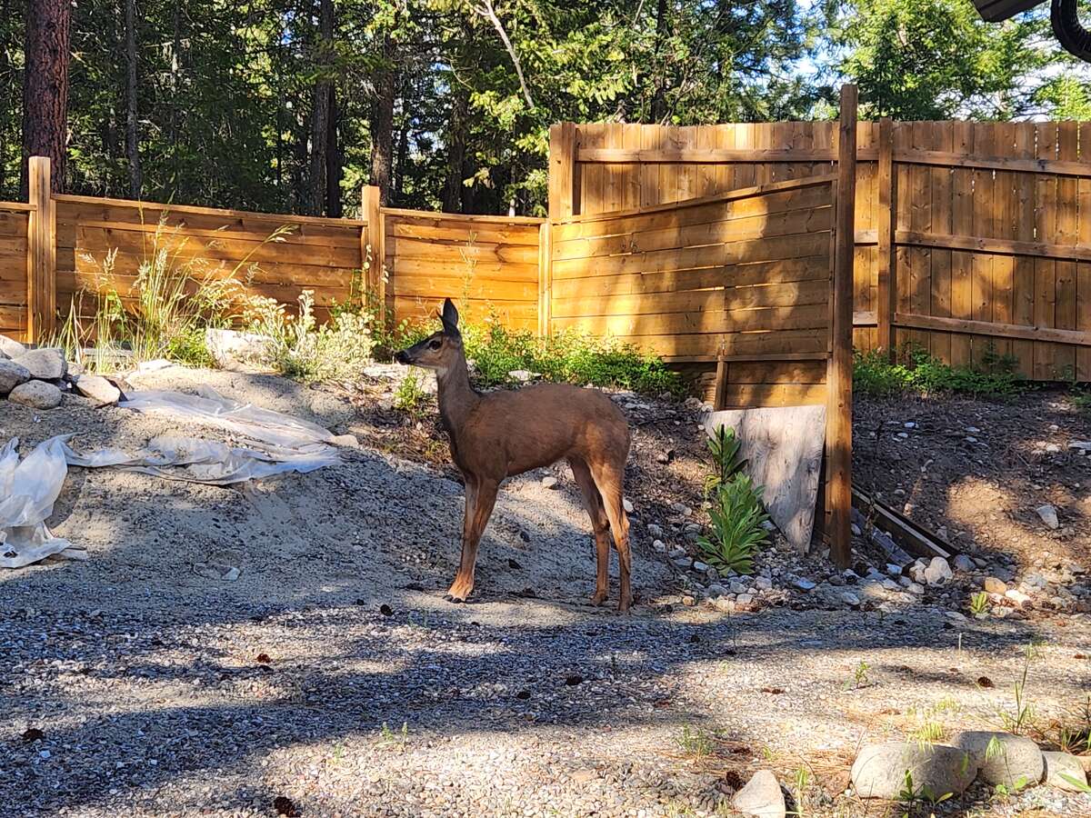 Okanagan Lakeview Modern Home Solar, Shop, Private