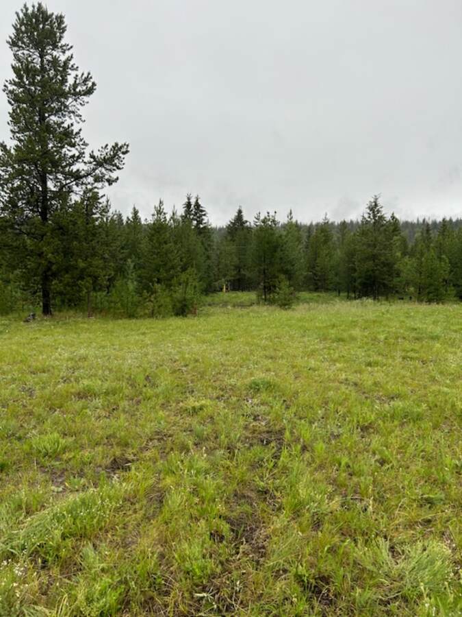 Vacant Land For Sale in 70 Mile House, BC