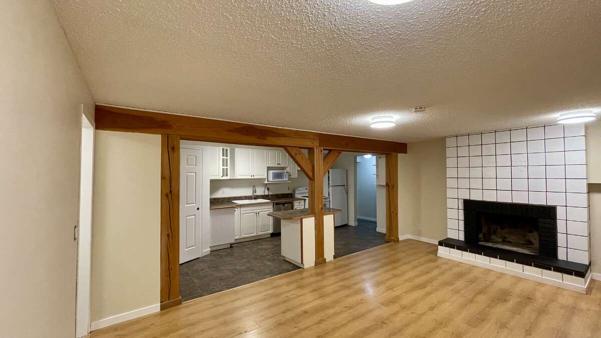 Basement Suite Living Room