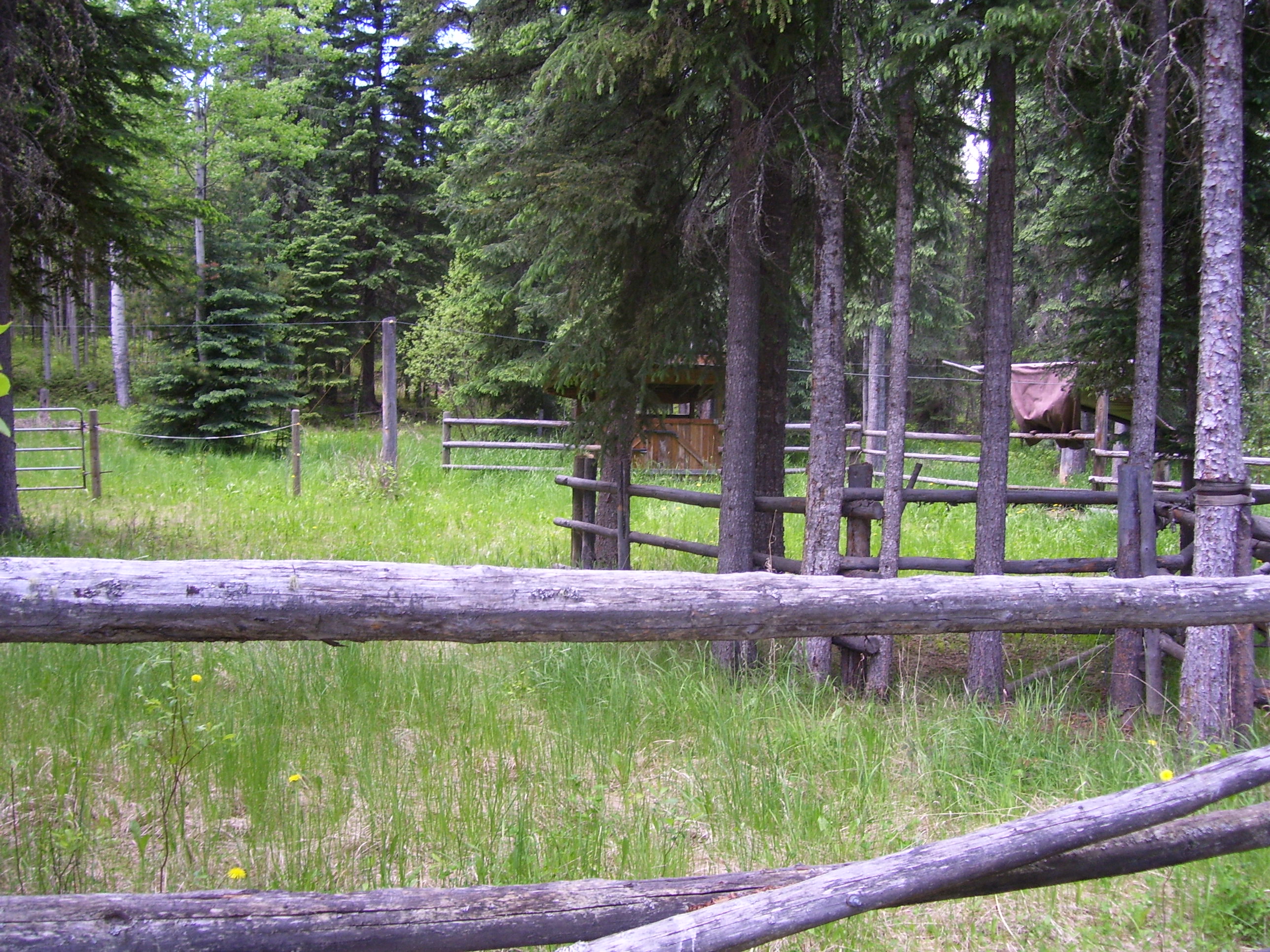 Country Living at an Affordable Price