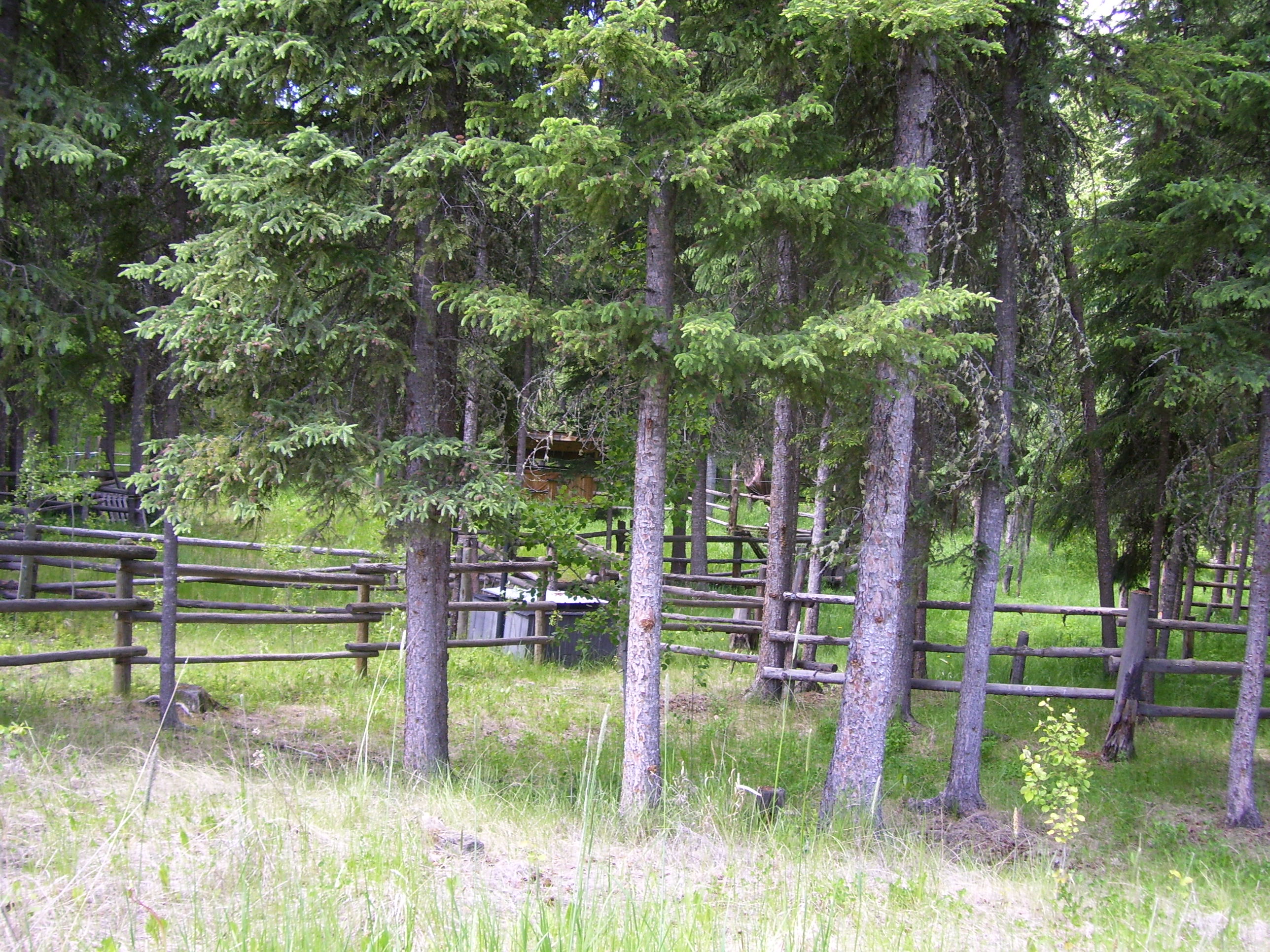 Country Living at an Affordable Price