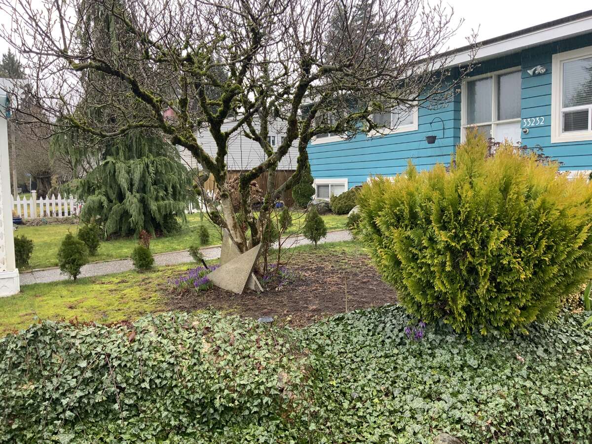 Front yard looking east