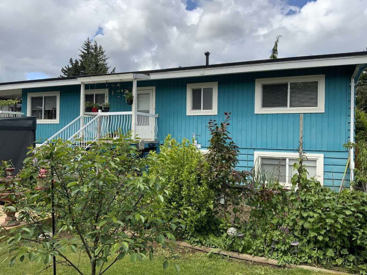 Back yard garden area