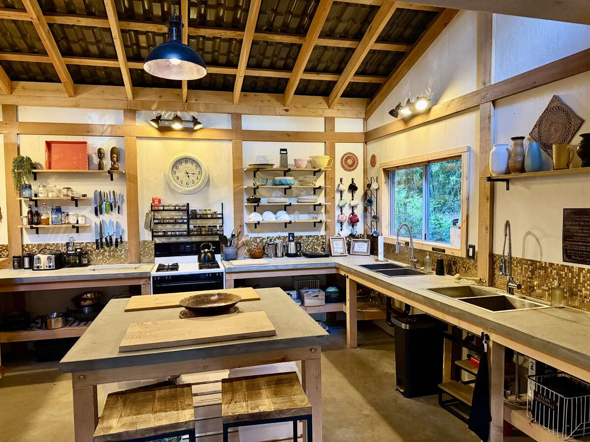 Guest Kitchen - Concrete Counters and Double Sinks