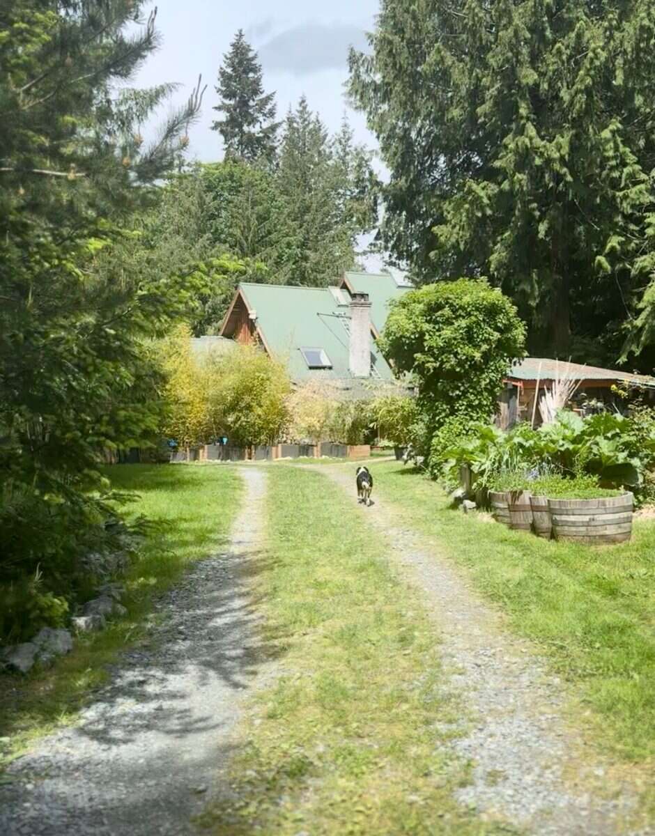 Private 4.3 Acre Forest Home with Studio & Cabins