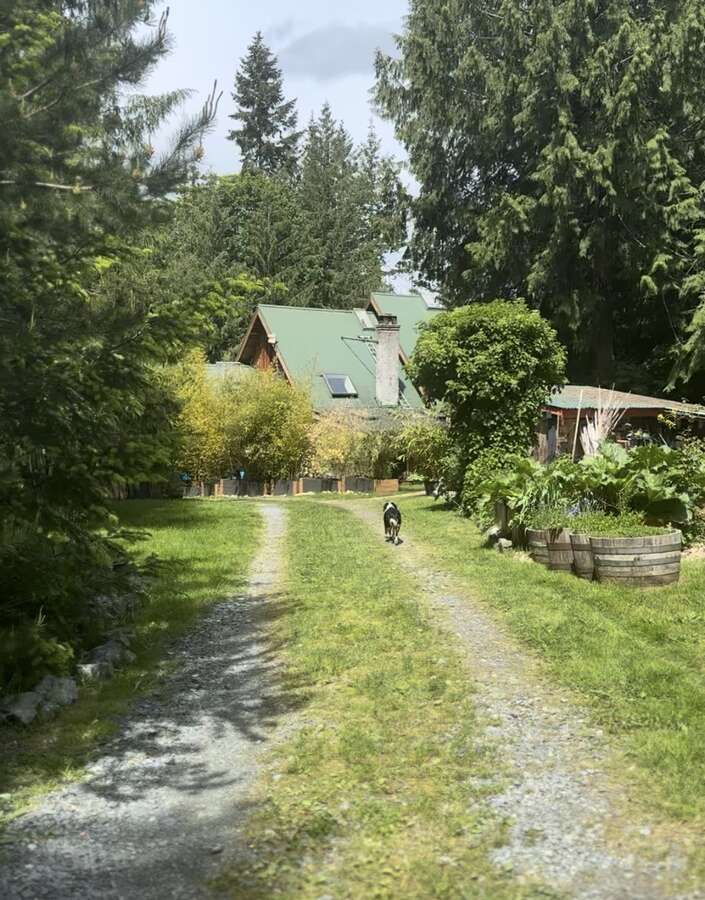Road to Back of Main House