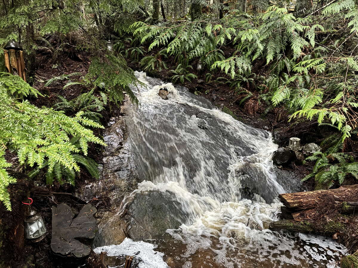 Seasonal Waterfall and Stream by Hot Tub