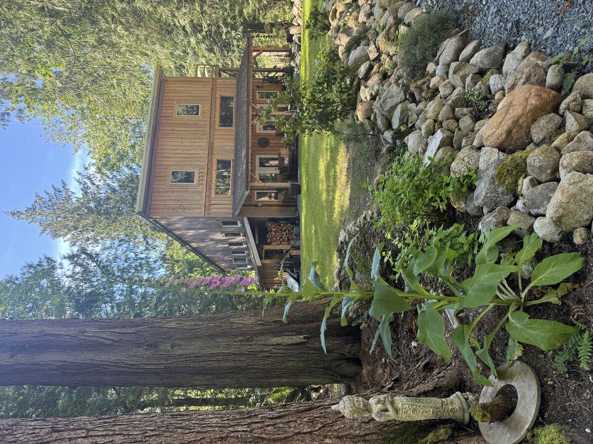 Studio and Surrounding Forest