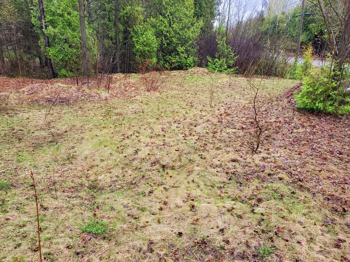 Vacant Land For Sale in Ottawa, ON