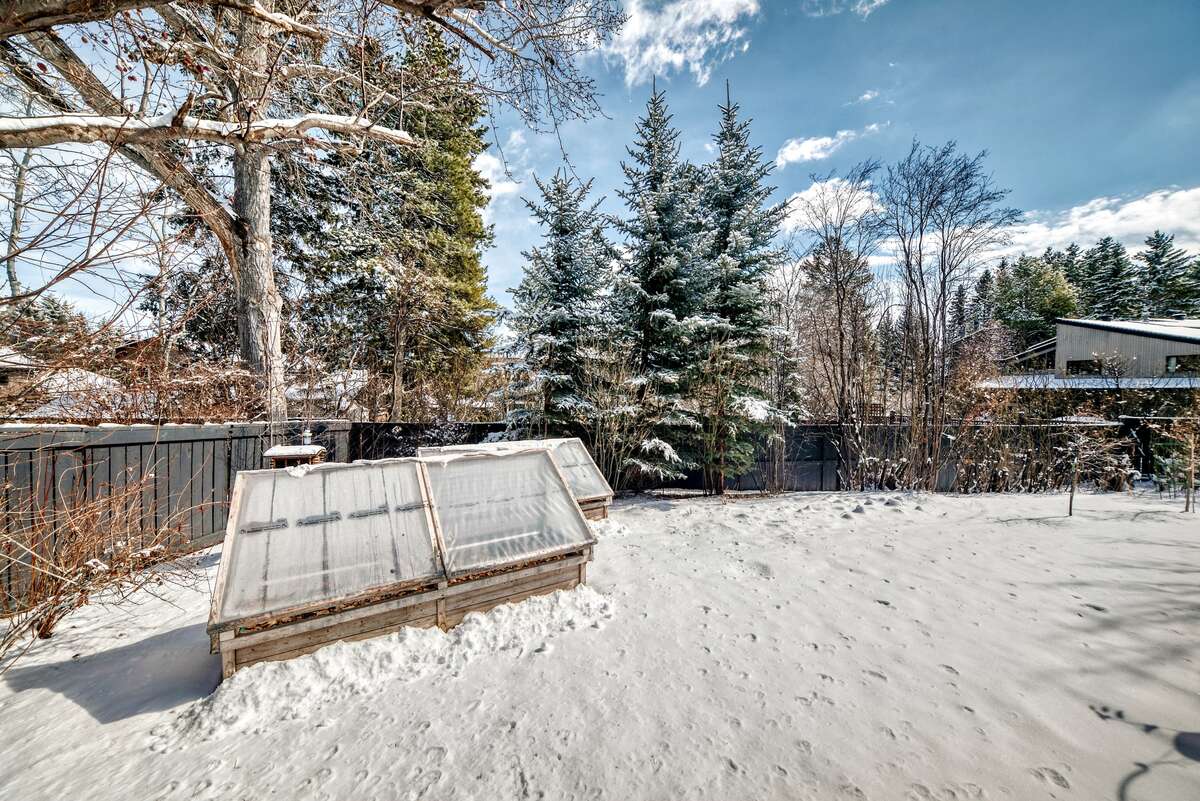 Custom covered dog run with ramp on the right side