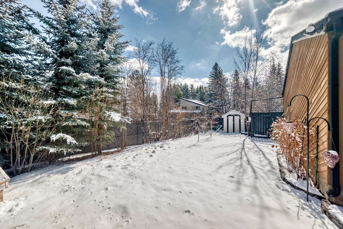 Custom covered dog run with ramp on the right side