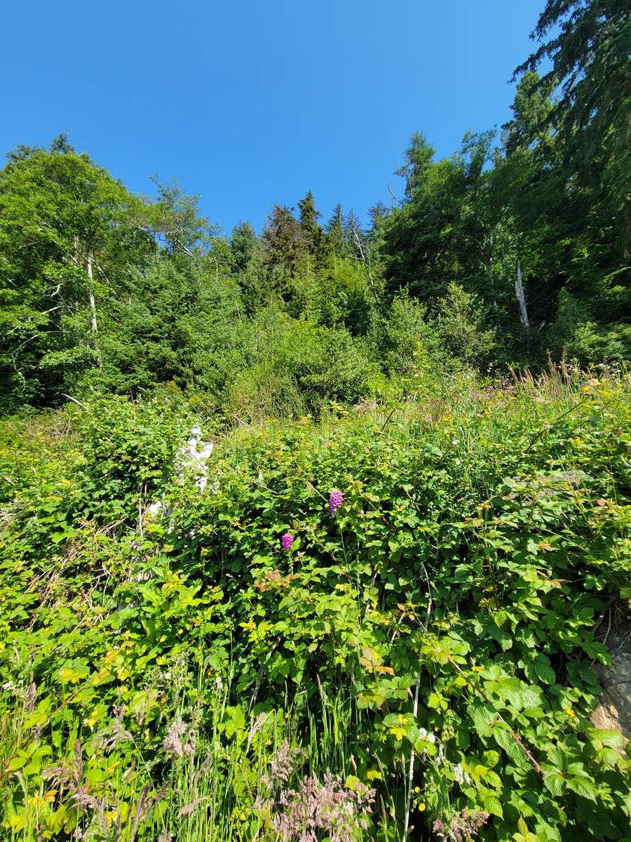 Vacant Land / Waterfront Property For Sale in Alert Bay, BC