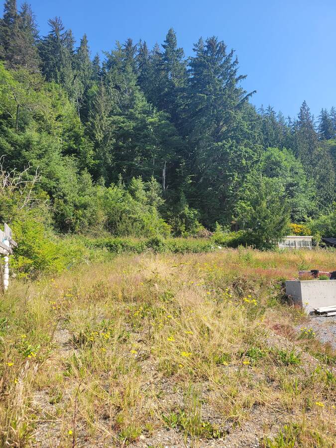 Vacant Land / Waterfront Property For Sale in Alert Bay, BC