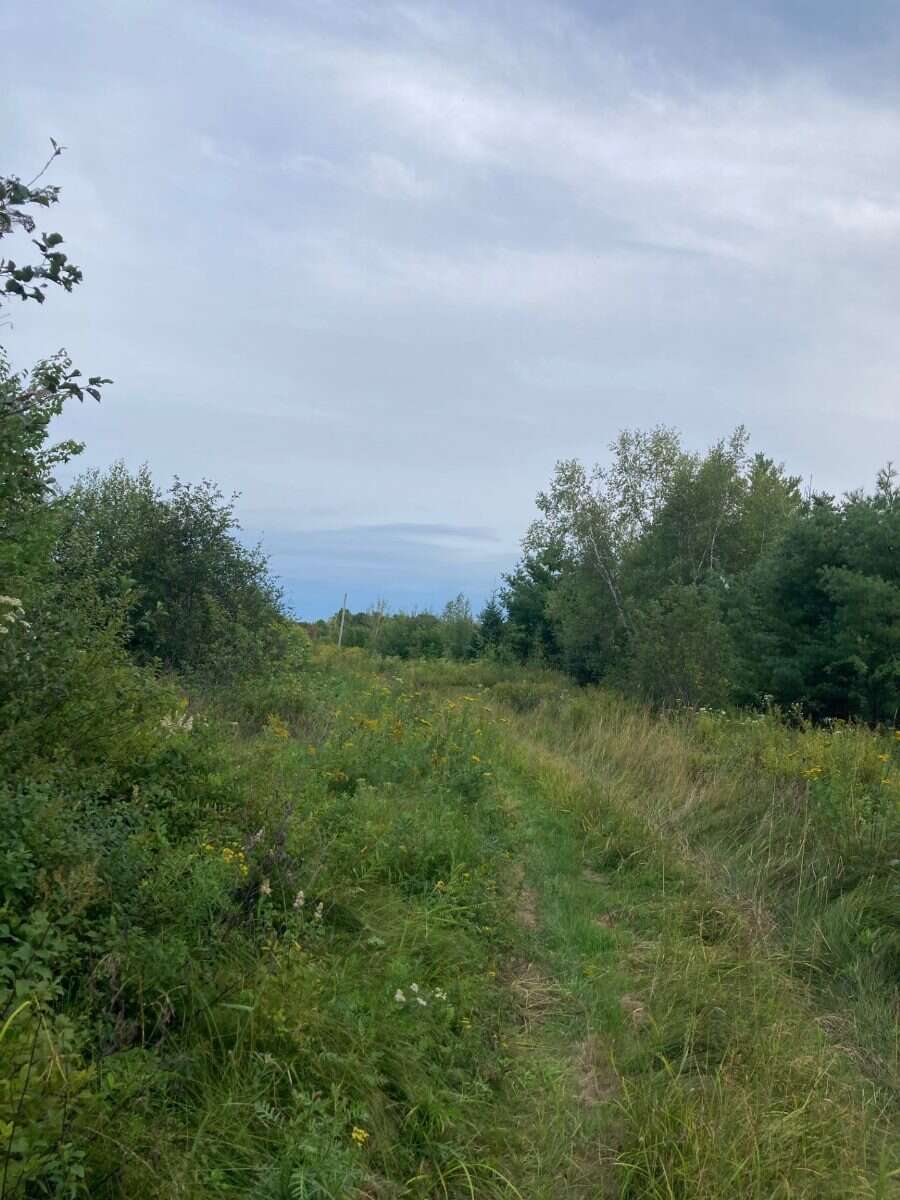 65.5 Acres Land For Sale: $599,000 (HST Included)