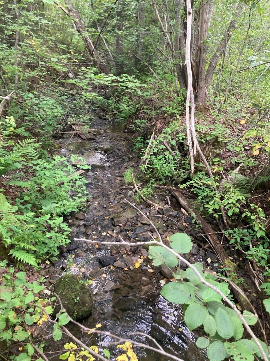 65.5 Acres Land For Sale: $599,000 (HST Included)