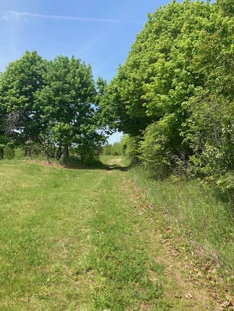 65.5 Acres Land For Sale: $599,000 (HST Included)