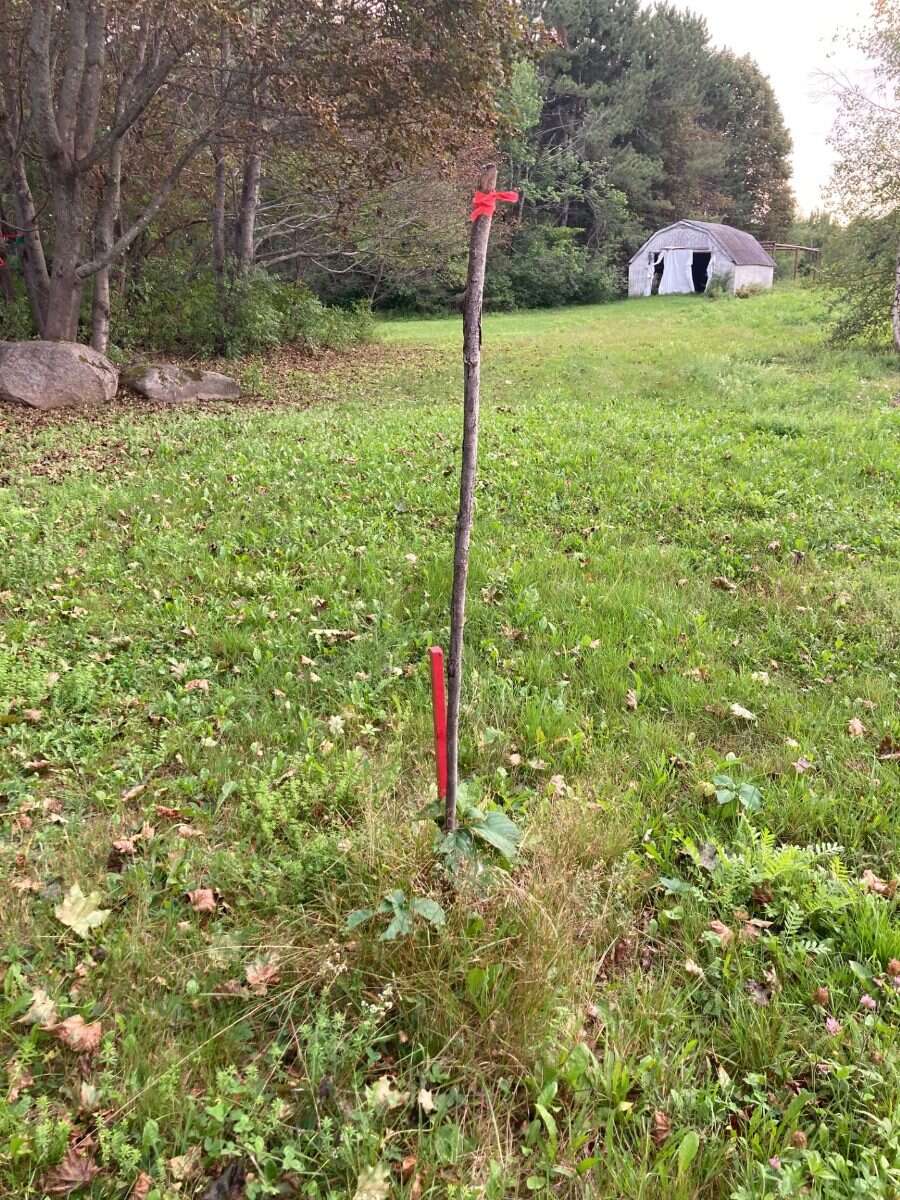 65.5 Acres Land For Sale: $599,000 (HST Included)