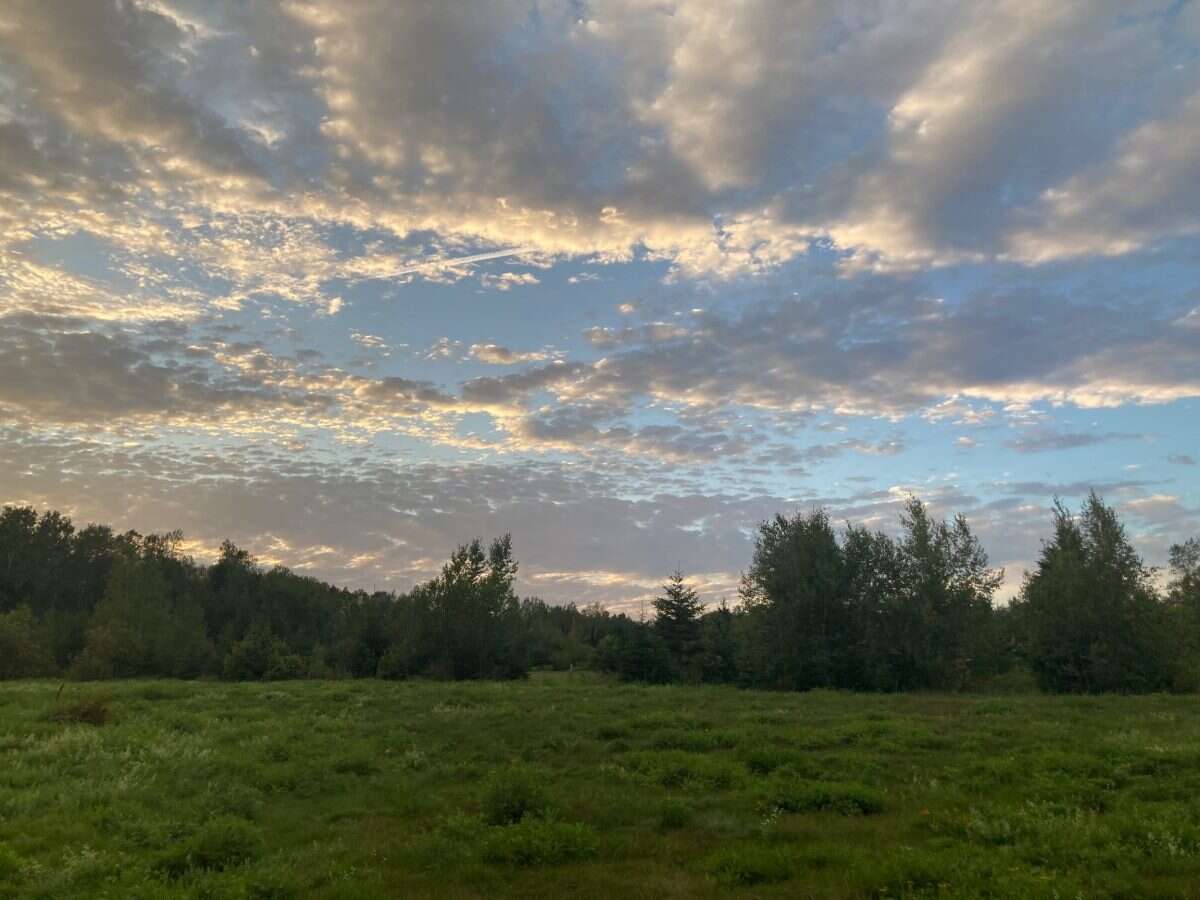 65.5 Acres Land For Sale: $599,000 (HST Included)