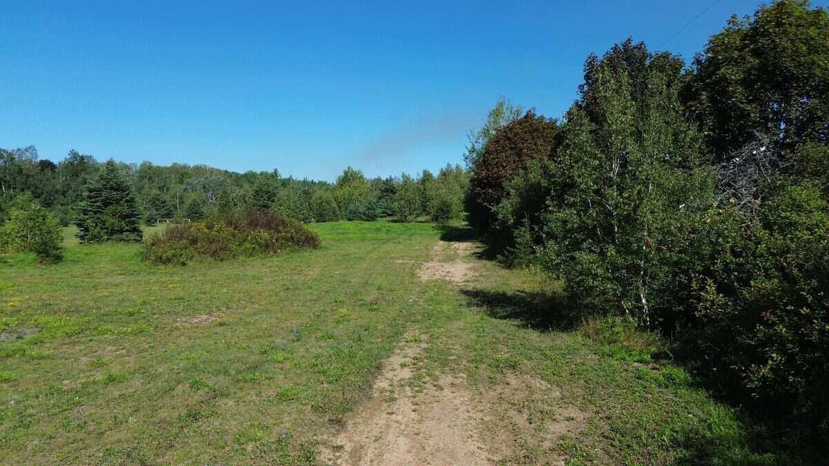 65.5 Acres Land For Sale: $599,000 (HST Included)