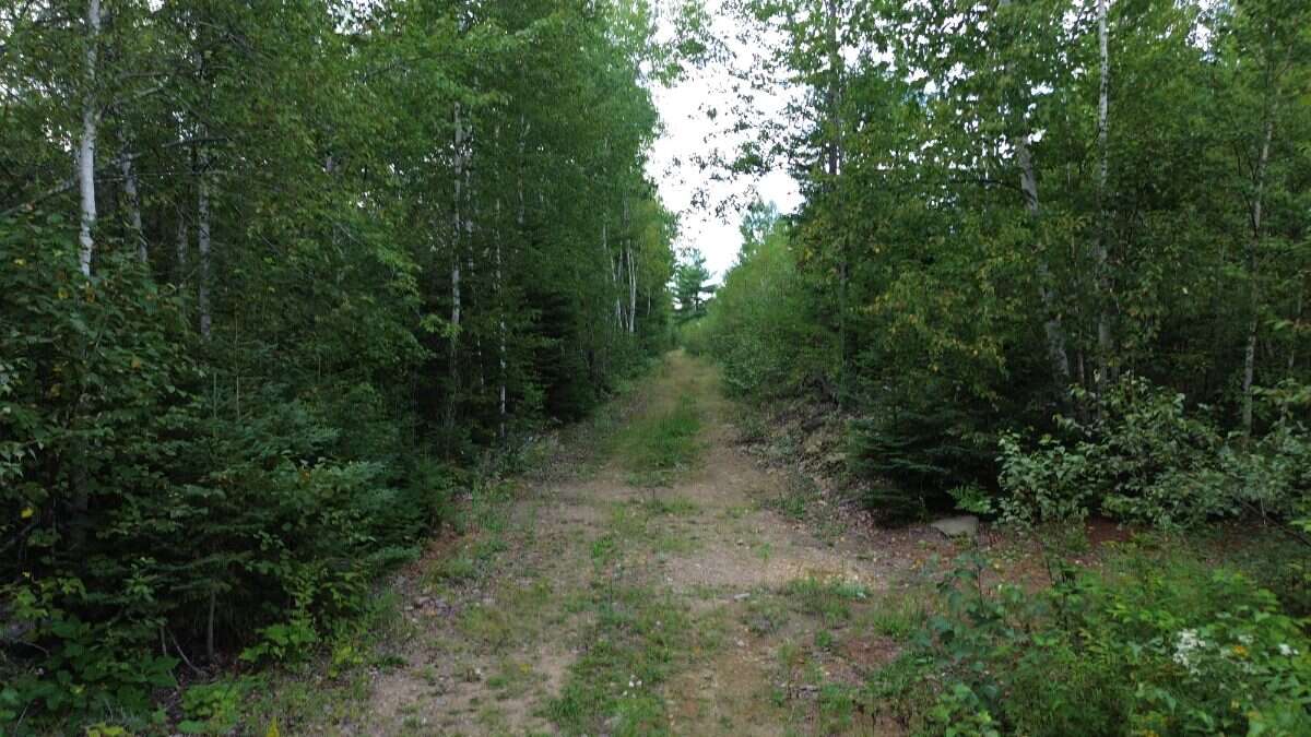 65.5 Acres Land For Sale: $599,000 (HST Included)