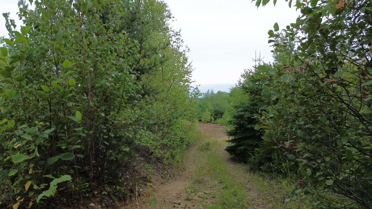 65.5 Acres Land For Sale: $599,000 (HST Included)