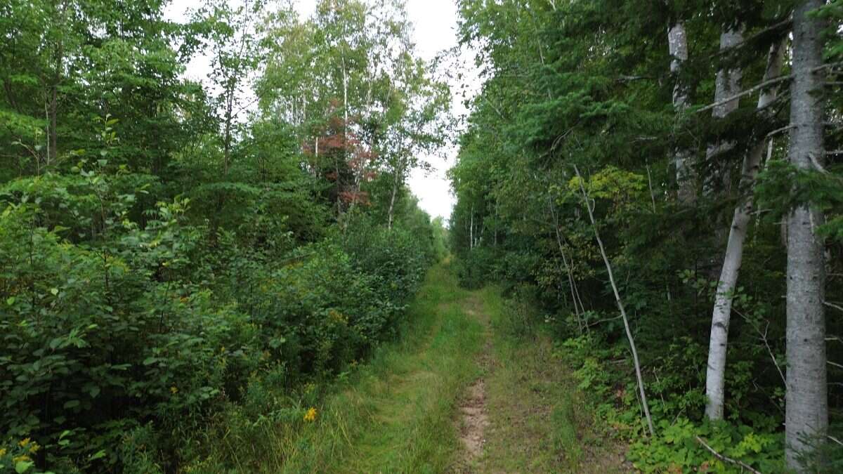 65.5 Acres Land For Sale: $599,000 (HST Included)
