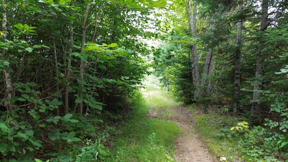 65.5 Acres Land For Sale: $599,000 (HST Included)