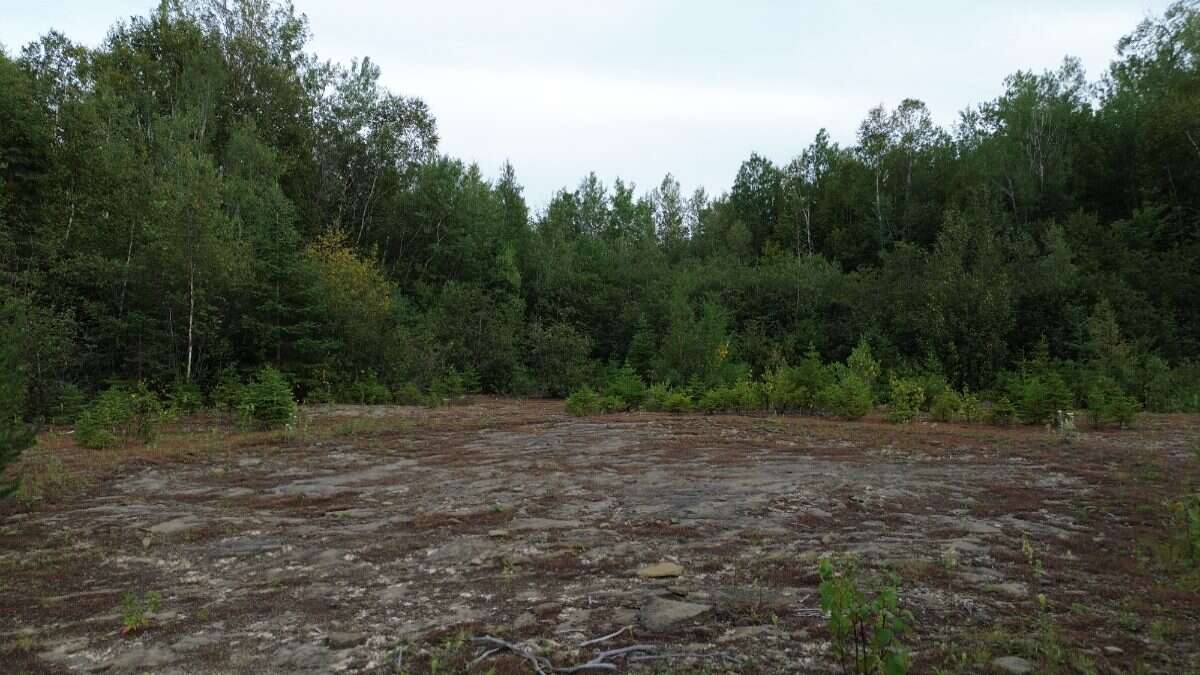 65.5 Acres Land For Sale: $599,000 (HST Included)