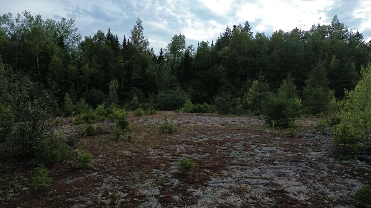65.5 Acres Land For Sale: $599,000 (HST Included)