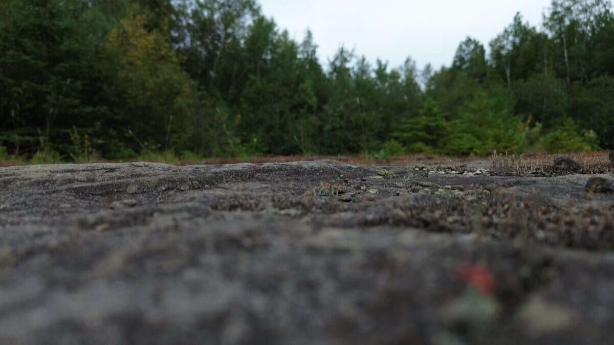 65.5 Acres Land For Sale: $599,000 (HST Included)