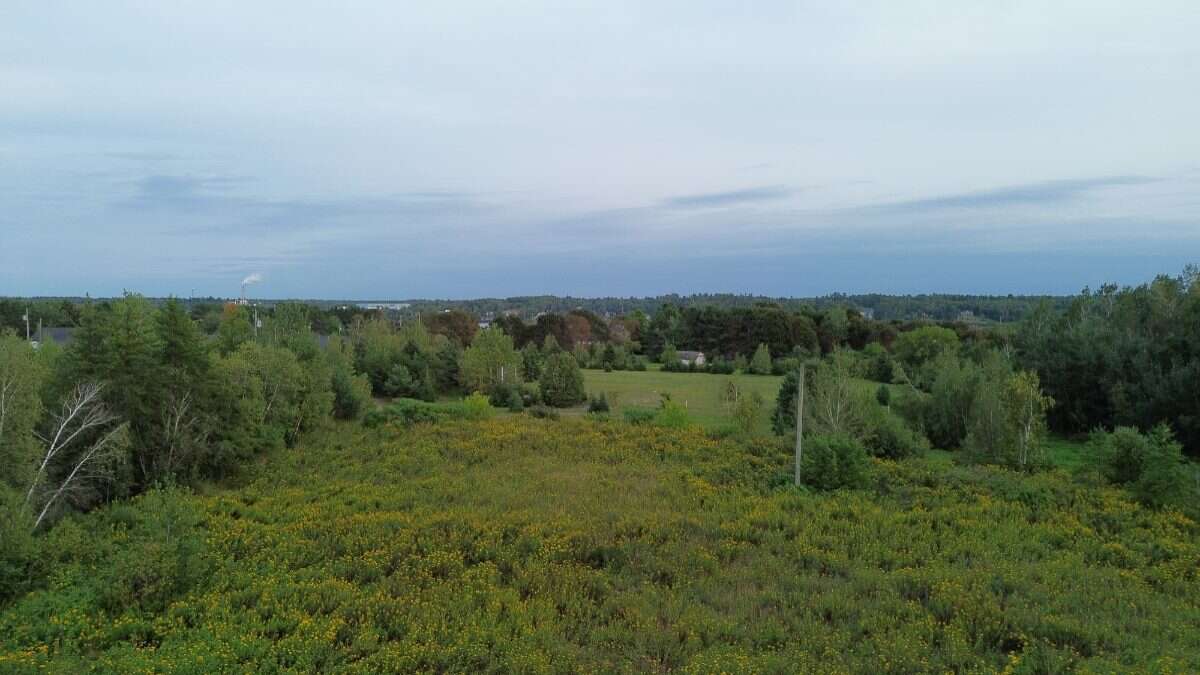 65.5 Acres Land For Sale: $599,000 (HST Included)