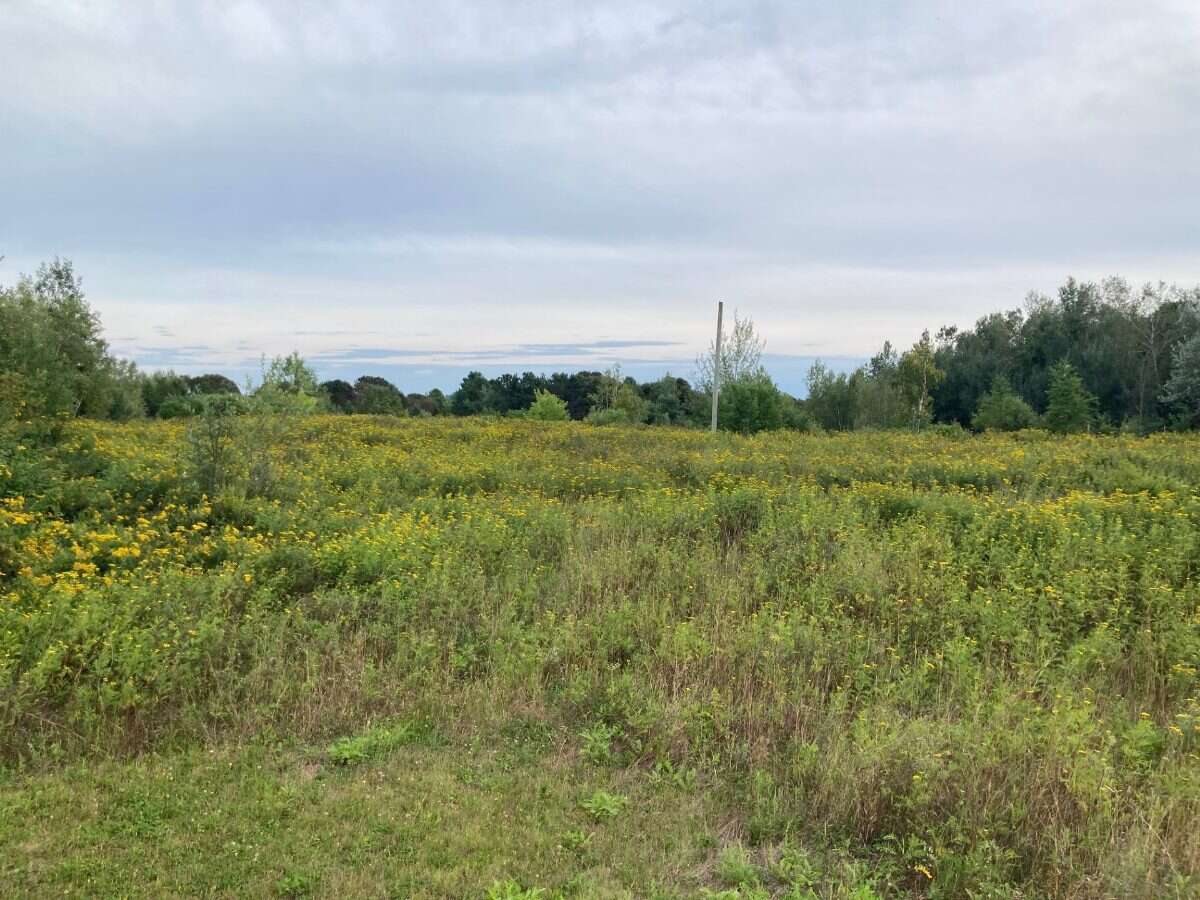 65.5 Acres Land For Sale: $599,000 (HST Included)