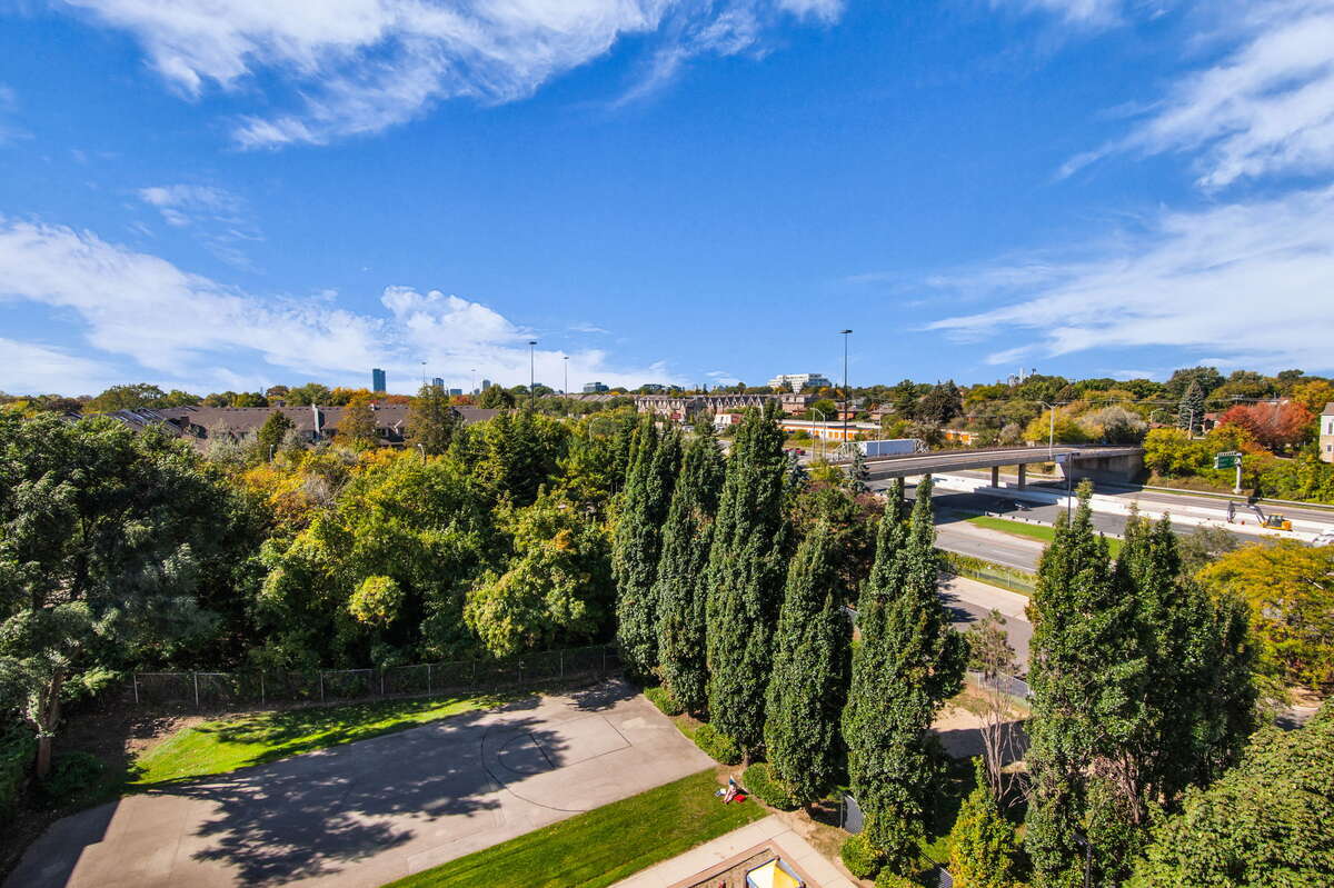 Beautiful views of family park