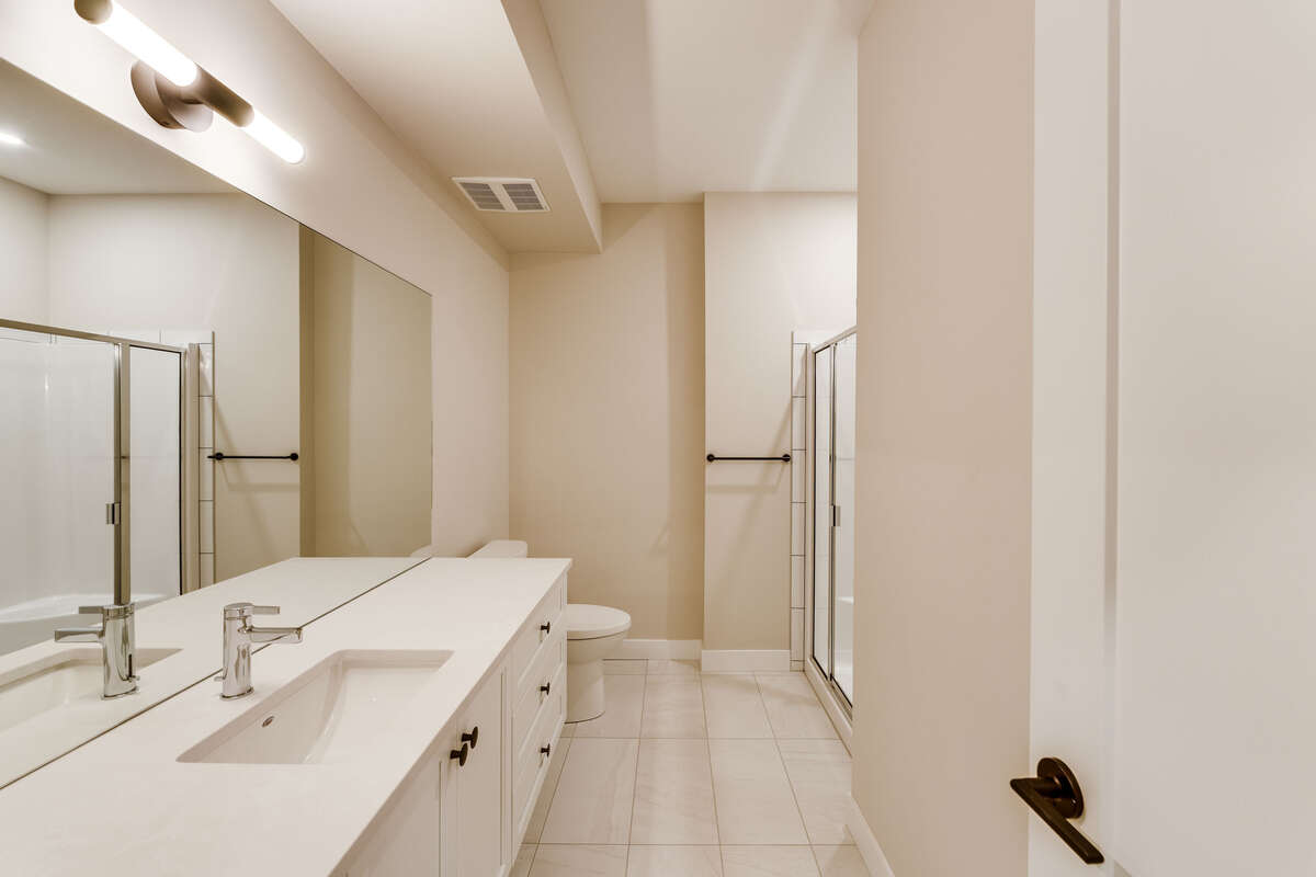 Lower level Bathroom