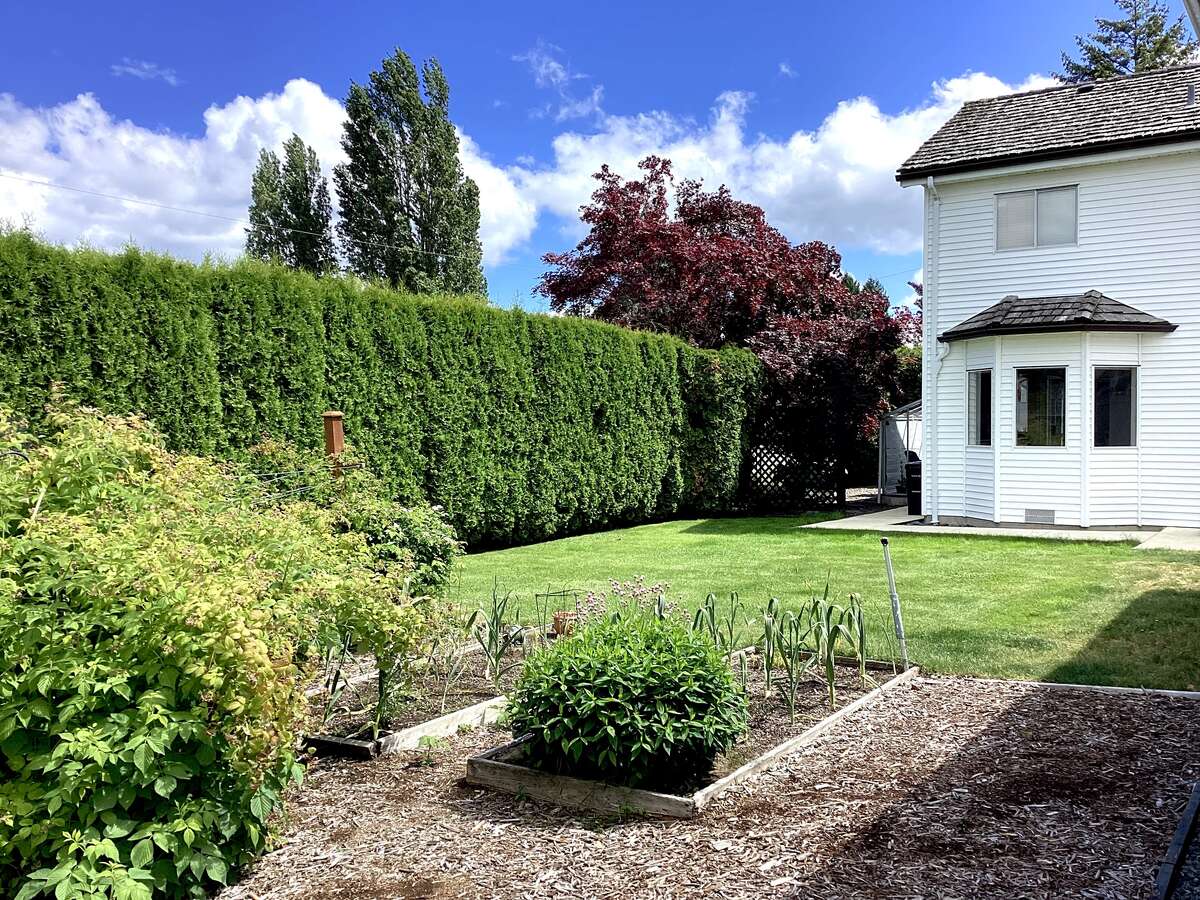 Roomy yard and veggie garden with delicious raspberries and mature hedge for complete privacy