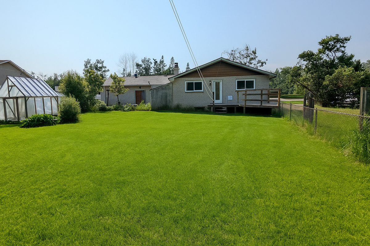 Exterior backyard